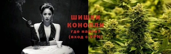 спайс Нея