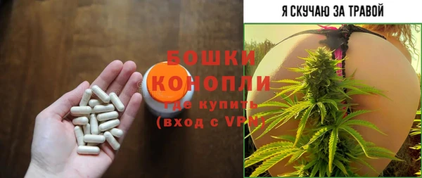 спиды Новозыбков