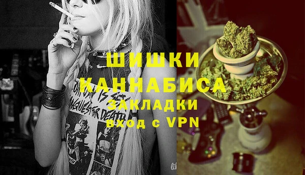 спиды Новозыбков