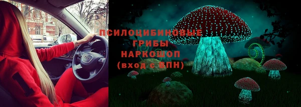 амф Новокубанск